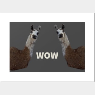 llamas Posters and Art